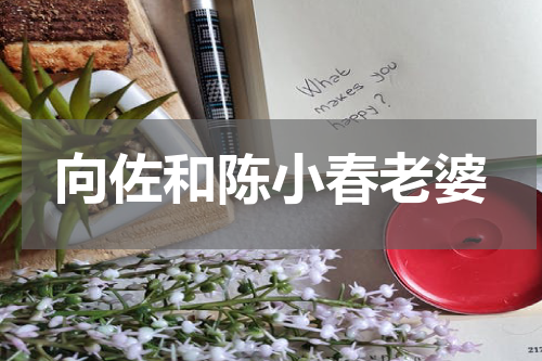 向佐和陈小春老婆