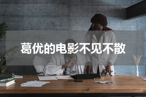 葛优的电影不见不散