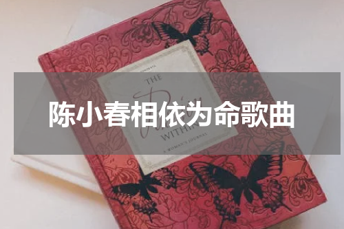 陈小春相依为命歌曲
