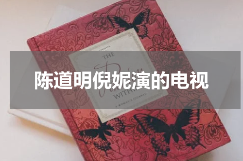 陈道明倪妮演的电视