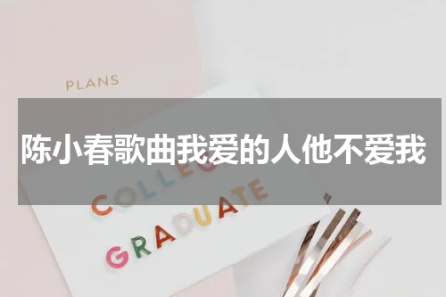 陈小春歌曲我爱的人他不爱我