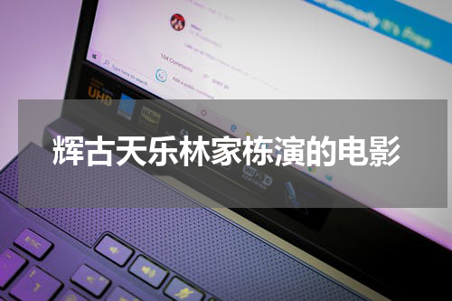 辉古天乐林家栋演的电影
