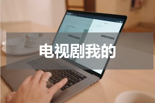 电视剧我的