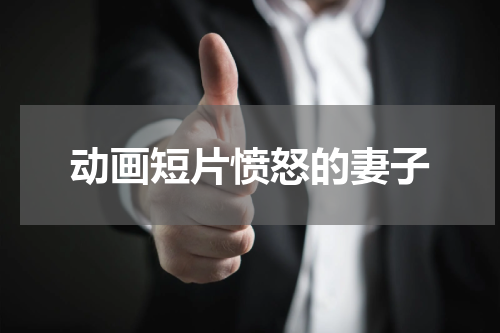 动画短片愤怒的妻子