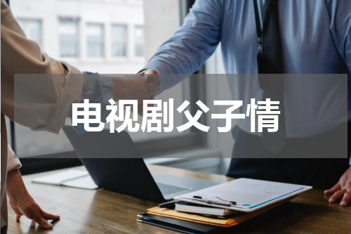 电视剧父子情
