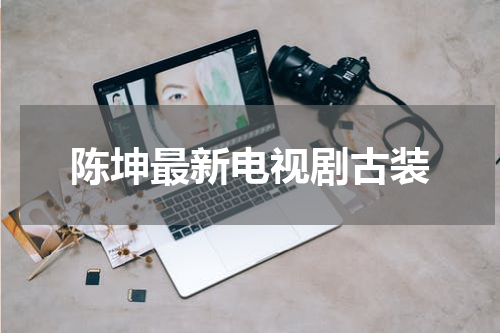 陈坤最新电视剧古装