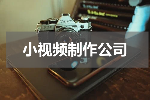 小视频制作公司