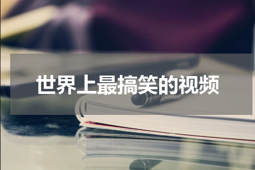 世界上最搞笑的视频