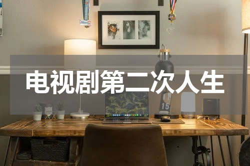 电视剧第二次人生