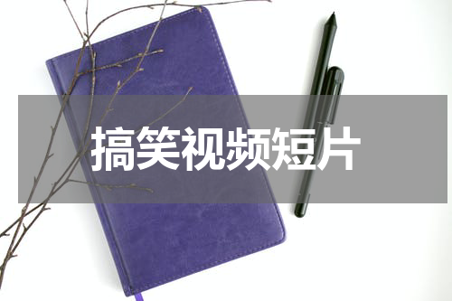 搞笑视频短片
