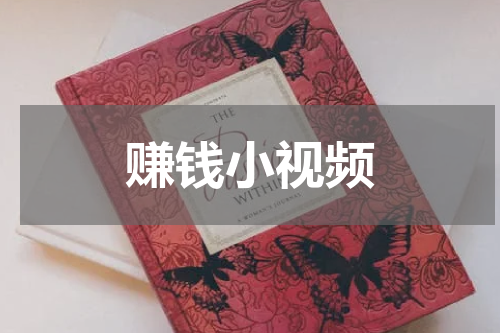 赚钱小视频