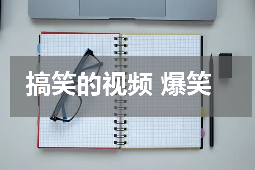 搞笑的视频 爆笑