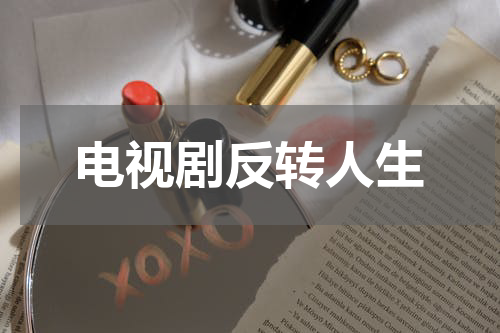 电视剧反转人生
