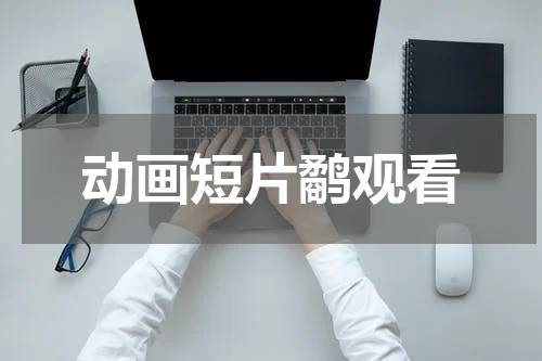 动画短片鹬观看