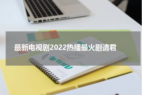 最新电视剧2022热播最火剧请君