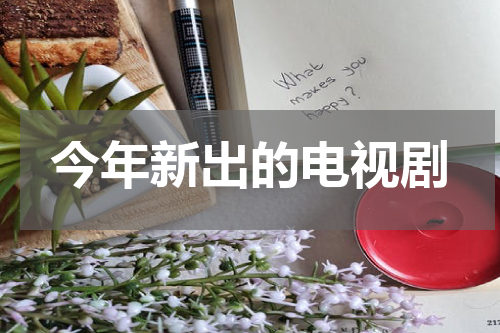 今年新出的电视剧