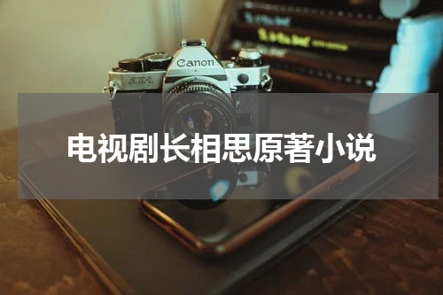 电视剧长相思原著小说