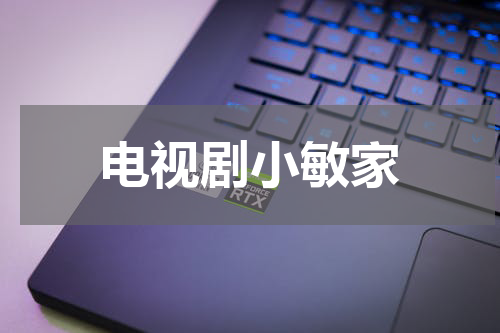 电视剧小敏家