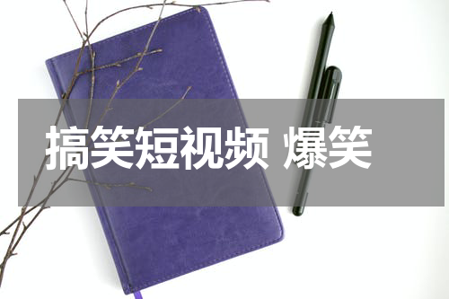 搞笑短视频 爆笑
