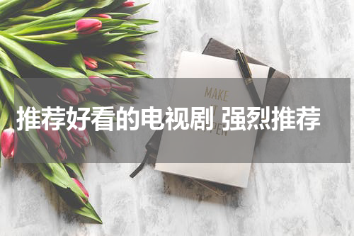 推荐好看的电视剧 强烈推荐