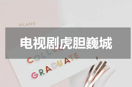 电视剧虎胆巍城