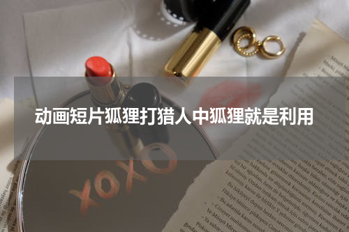 动画短片狐狸打猎人中狐狸就是利用