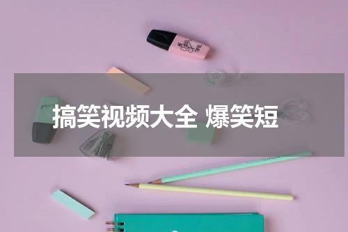 搞笑视频大全 爆笑短