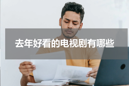 去年好看的电视剧有哪些