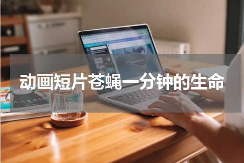 动画短片苍蝇一分钟的生命