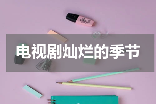 电视剧灿烂的季节