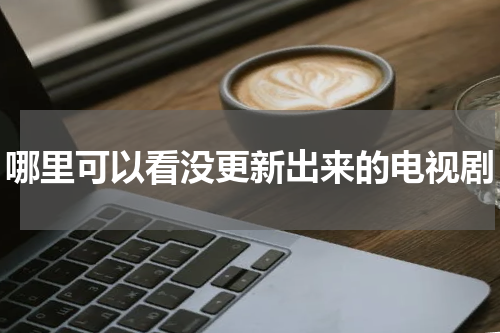 哪里可以看没更新出来的电视剧
