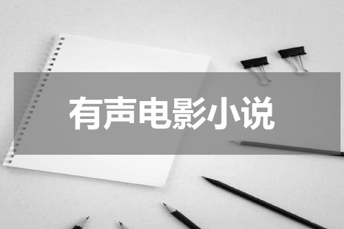 有声电影小说
