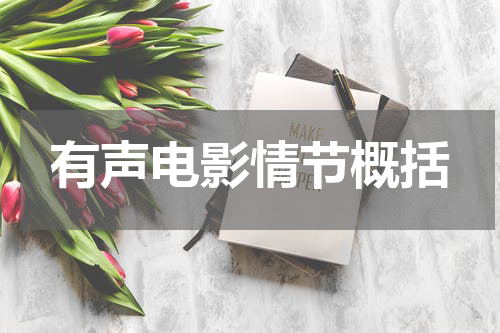 有声电影情节概括