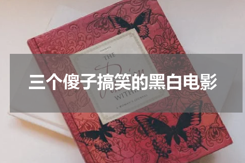 三个傻子搞笑的黑白电影