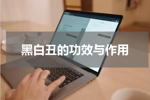 黑白丑的功效与作用