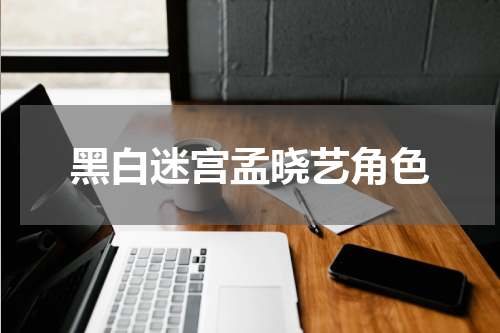 黑白迷宫孟晓艺角色