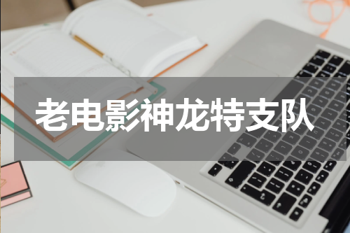 老电影神龙特支队