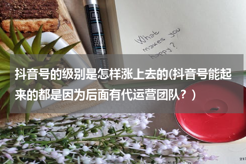 抖音号的级别是怎样涨上去的(抖音号能起来的都是因为后面有代运营团队？)