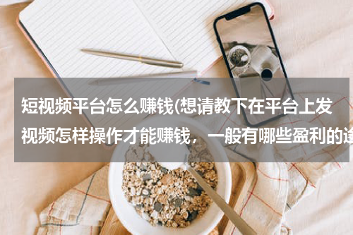短视频平台怎么赚钱(想请教下在平台上发视频怎样操作才能赚钱，一般有哪些盈利的途径)