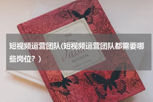 短视频运营团队(短视频运营团队都需要哪些岗位？)
