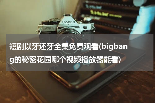 短剧以牙还牙全集免费观看(bigbang的秘密花园哪个视频播放器能看)
