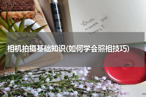相机拍摄基础知识(如何学会照相技巧)
