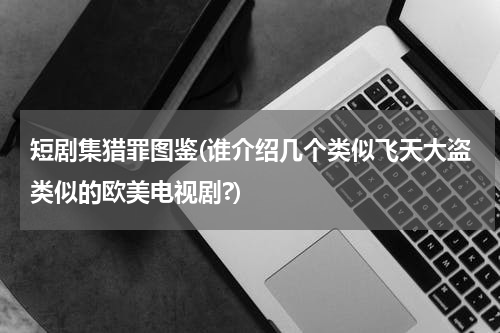 短剧集猎罪图鉴(谁介绍几个类似飞天大盗类似的欧美电视剧?)