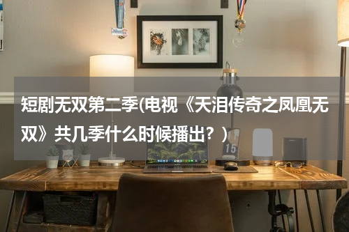 短剧无双第二季(电视《天泪传奇之凤凰无双》共几季什么时候播出？)