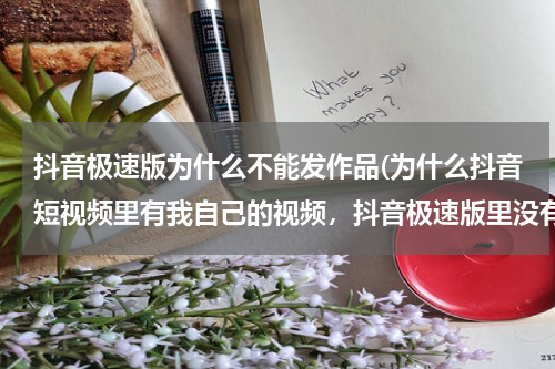 抖音极速版为什么不能发作品(为什么抖音短视频里有我自己的视频，抖音极速版里没有我发的视频了？)