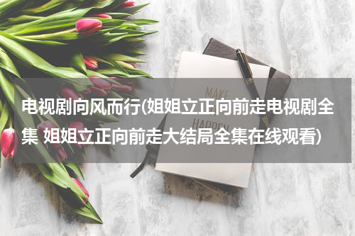 电视剧向风而行(姐姐立正向前走电视剧全集 姐姐立正向前走大结局全集在线观看)