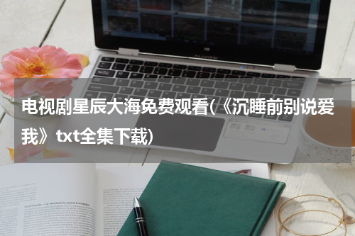 电视剧星辰大海免费观看(《沉睡前别说爱我》txt全集下载)