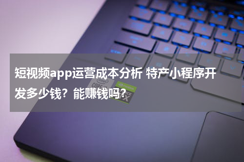 短视频app运营成本分析 特产小程序开发多少钱？能赚钱吗？