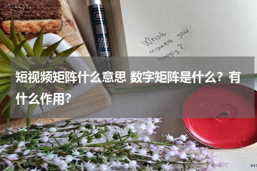 短视频矩阵什么意思 数字矩阵是什么？有什么作用？